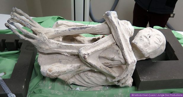La momie nommée "Maria" agée de ~1700 ans