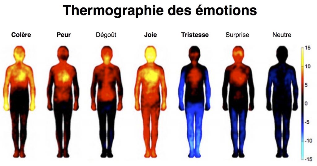 thermographie des emotions