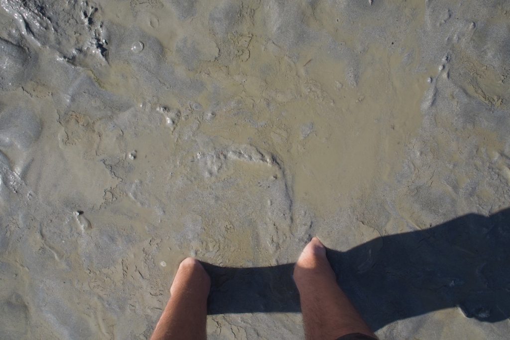 pieds de Martouf sables mouvants mont saint michel