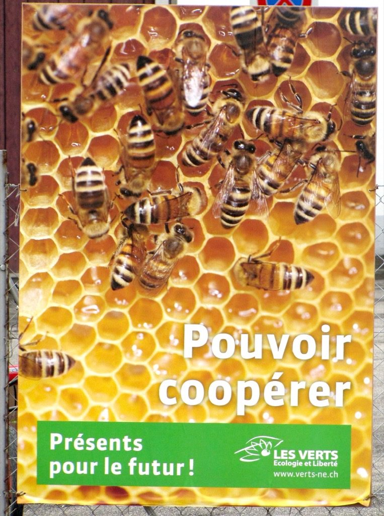 affiche-pouvoir-coopérer-abeille
