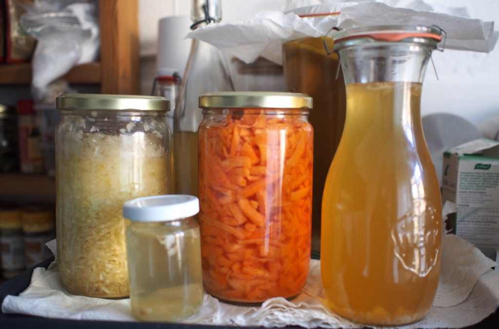 kefir lactofermentation