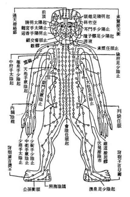 méridien-acupuncture-Yangren_jingtu1